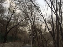 -水磨沟公园