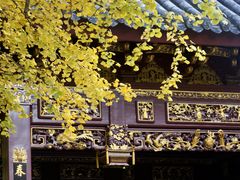 -汇龙潭