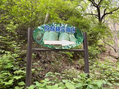 -大岭沟猕猴桃谷风景区