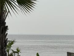 -平湖九龙山旅游度假区