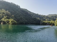 -鼎湖山风景区