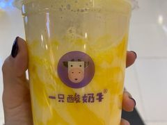 芒来芒去酸奶多-一只酸奶牛(来福士店)