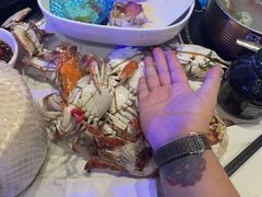 -半岛听涛蒸汽海鲜自助(K11店)