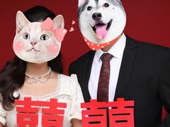 -bobo高端证件照工作室(三元桥店)