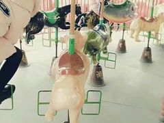 -太阳部落