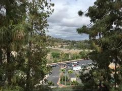 -宾夕法尼亚大学沃顿商学院