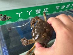 -丫丫蟹庄·苏式园林农家乐·阳澄湖大闸蟹(阳澄湖莲花岛店)