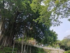 -船政文化景区-罗星塔公园