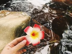 -七彩云南古滇温泉山庄