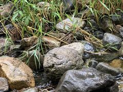 -碓臼峪自然风景区