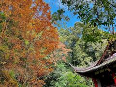 -凤栖山