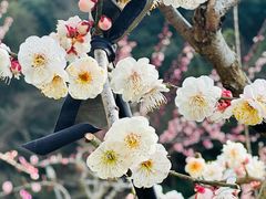 -新安江山水画廊风景区