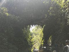 -武隆天坑地缝国家地质公园