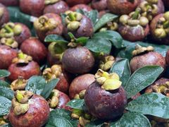 -胡麻地果研所(兰州中心BM店)