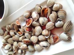 -华盛丰温州大排档(东三环南路店)