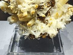 -湖南省地质博物馆