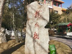 -新川办餐厅