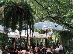 -Fern Forest Cafe