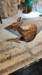 -酷嗒动物文化乐园(cutezoo西溪乐天城店)