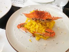 藏红花海蟹烩饭-1981牛排西餐厅(海信店)