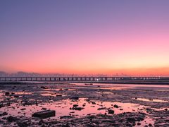 -宝安西湾红树林湿地公园