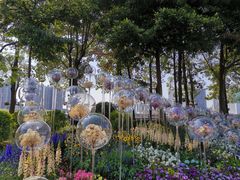 -海心沙亚运公园