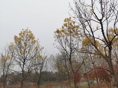-东郊湿地公园