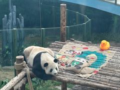 -大连森林动物园