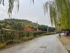 -南翠屏公园
