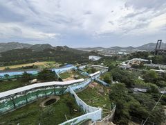 -西霞口神雕山野生动物世界