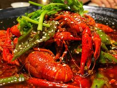 -红辣椒·川菜·火锅(科华路店)