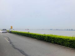 -海鸥岛