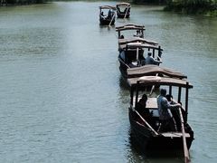 -溱湖国家湿地公园