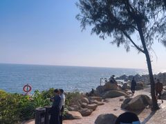 -广东惠东海龟国家级自然保护区
