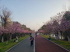 -艾溪湖湿地公园