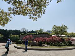 -嘉定紫藤园