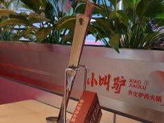 -小叫驴养生驴肉火锅(龙游店)