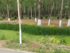 -东郊湿地公园