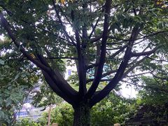 -陈李济中药博物馆