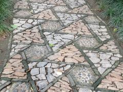 -秋霞圃