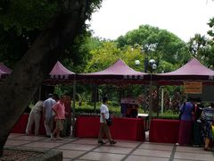 -晓港公园