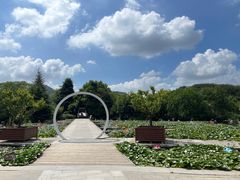 -白马涧龙池景区