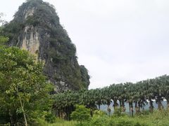 -银峰农庄·特色烧鸡·鲜无花果浸鸡