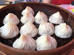 鲜肉小笼-大龙汤包
