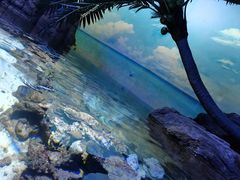 -江和美海洋公园