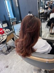 -藤野造型烫发染发