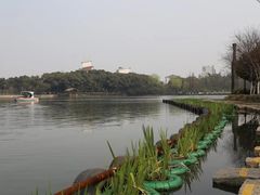 -圩墩遗址公园