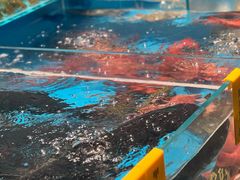 -瓯菜排档·温州海鲜(玕南店)