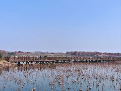 -上海海湾国家森林公园