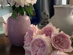 -朝来春花卉市场